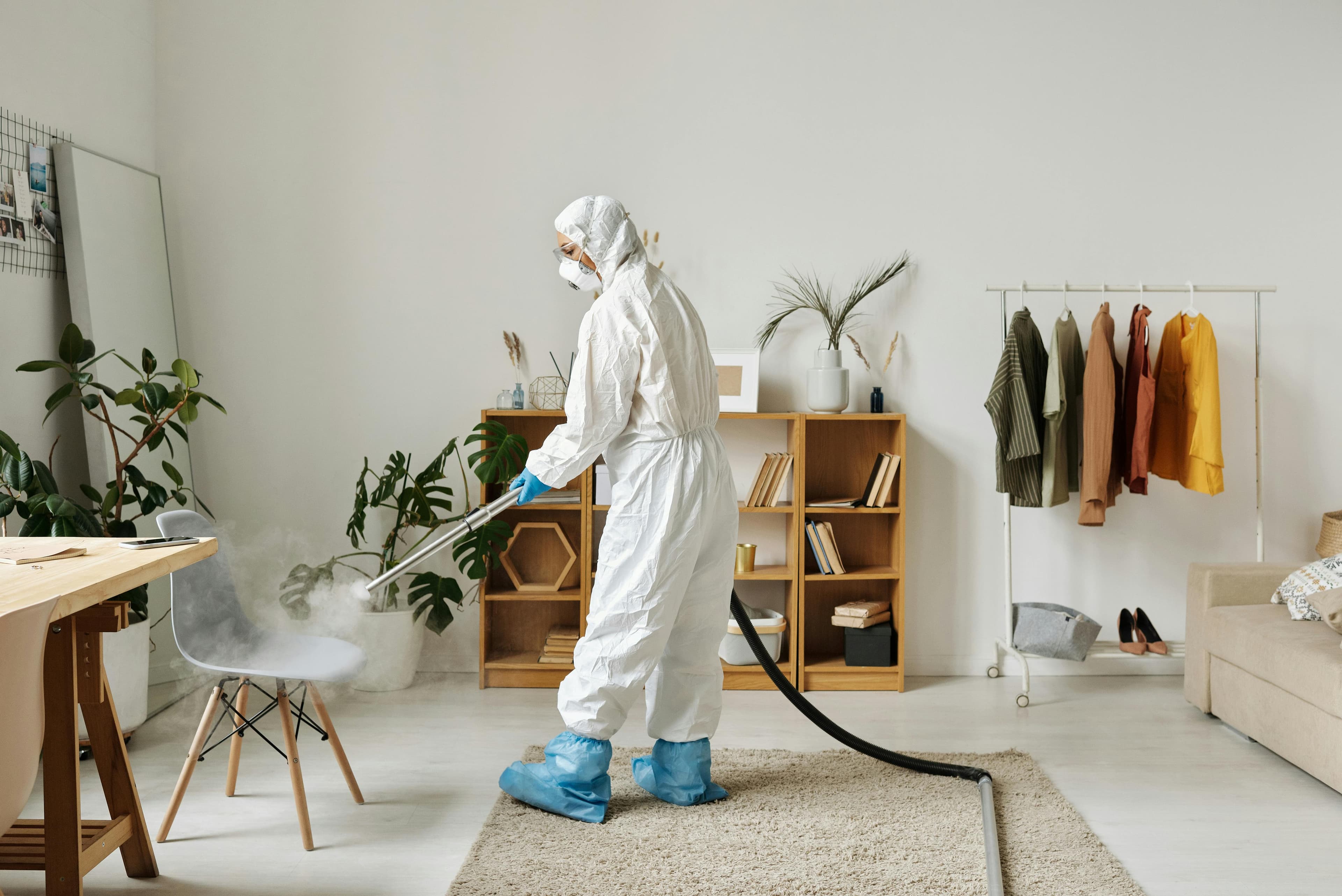 Professional pest control team at work